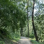 Il Giardino Di Berbech Citta Alta - Castagno